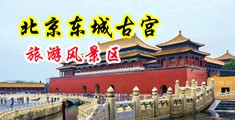 调教小骚货免费视频中国北京-东城古宫旅游风景区